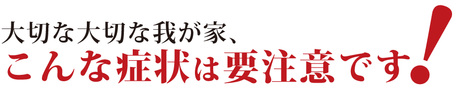 大切な大切な我が家、こんな症状に要注意です!